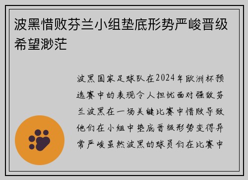 波黑惜败芬兰小组垫底形势严峻晋级希望渺茫